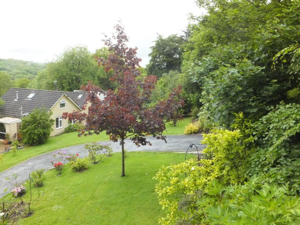 Shrubdown Bed & Breakfast Freshford Luaran gambar